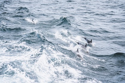 XXV-052- Ur wech e oa, ur wech ne oa ket, ur wech e oa bepred_00