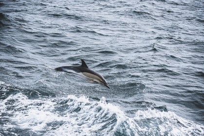 XXV-052- Ur wech e oa, ur wech ne oa ket, ur wech e oa bepred_00