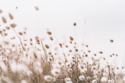 XXV-052- Ur wech e oa, ur wech ne oa ket, ur wech e oa bepred_01