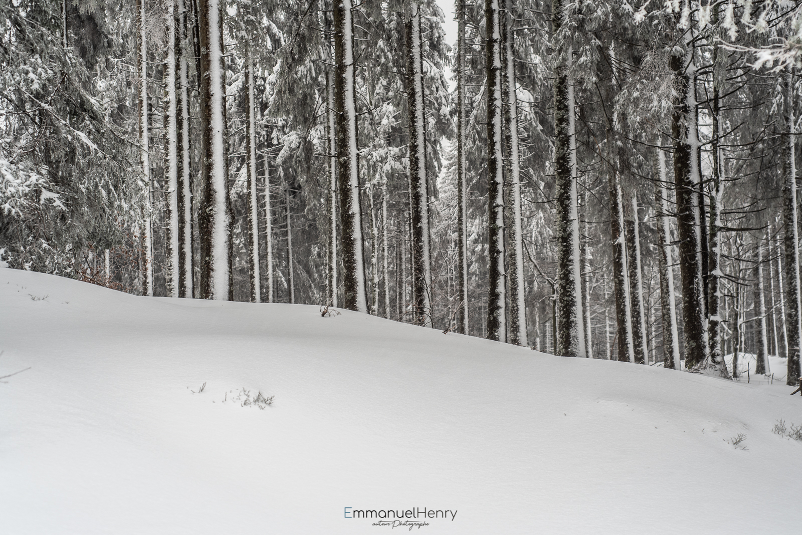 Jour Blanc - 08