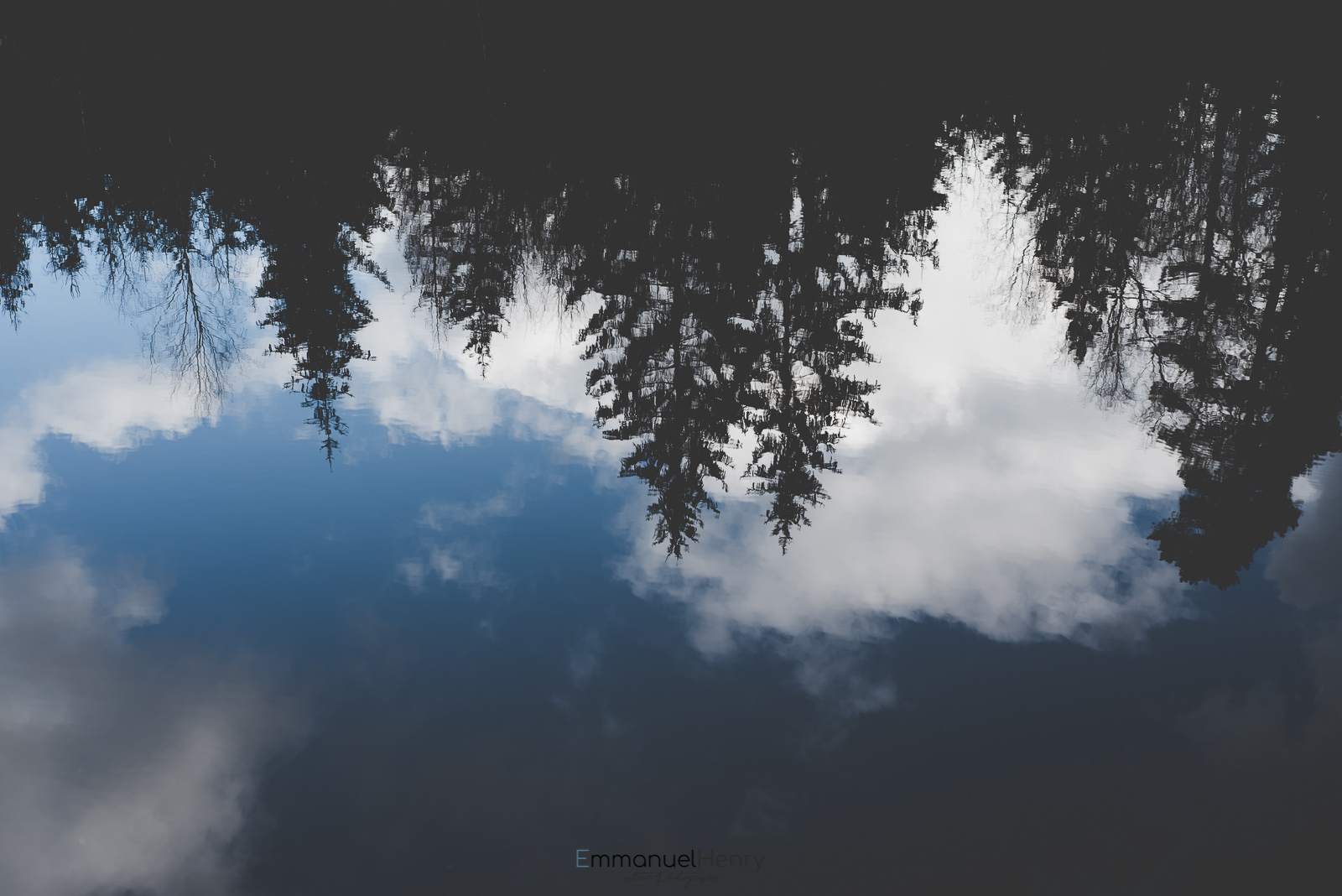 Reflets sur Etang - 04