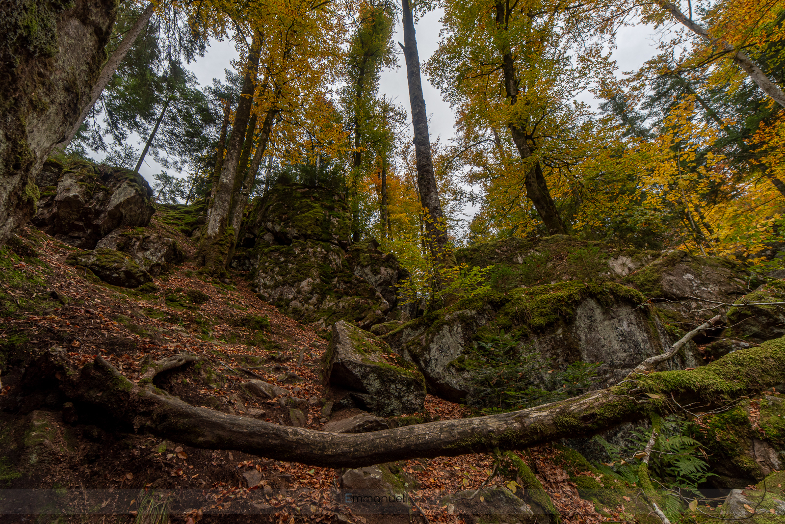 Couleurs d'automne_EHE7451