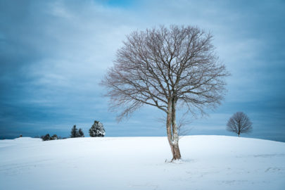 L'autre Monde_036