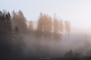 Le jour se lève, les Brumes s'élèvent - 004