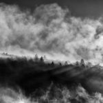 Un matin comme tant d'autres