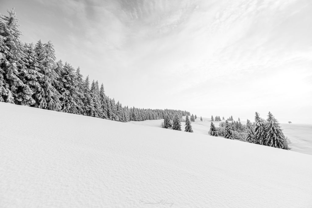 XXI - 005 - Monde blanc