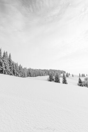 XXI - 005 - Monde blanc