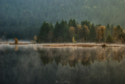 le silence est d'or