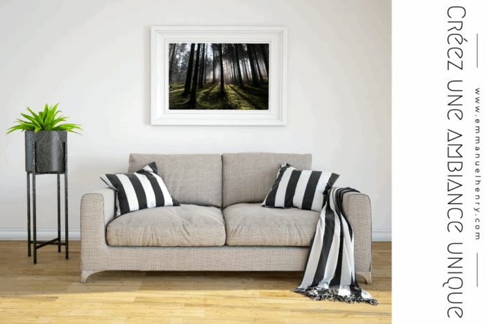 Forêt de brumes – Image 3