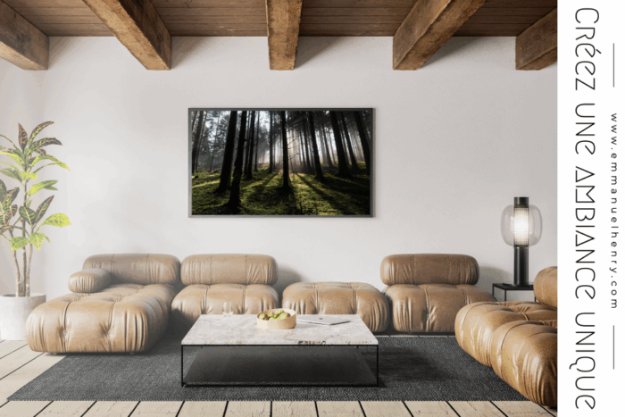 Forêt de brumes – Image 4