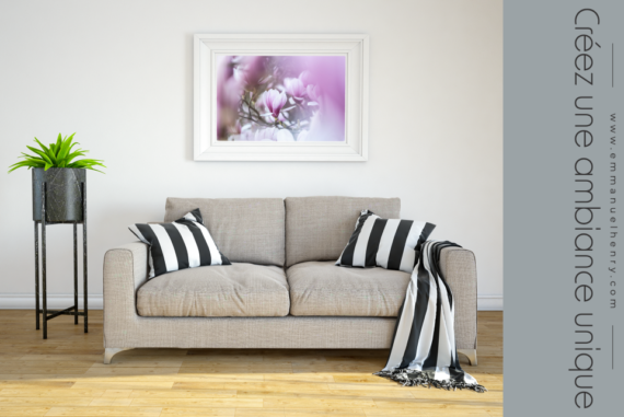 Magnolia en fleurs – Image 3