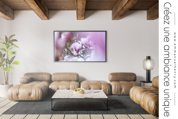 Magnolia en fleurs – Image 4