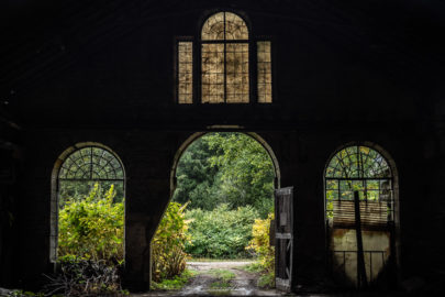 XX - CCCXXII - L'entrée sur Nature