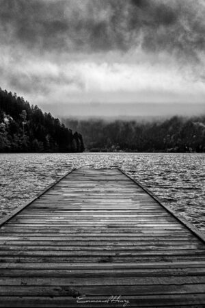 Emabrquement pour la forêt de brumes