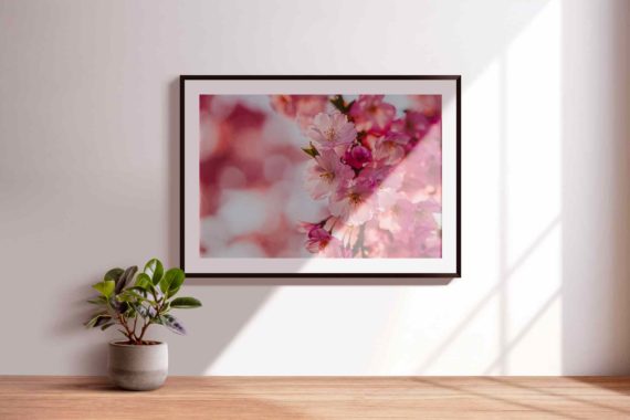 Un nouveau Printemps – Image 3