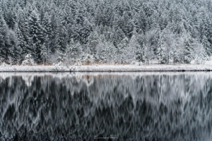 Here is the sound of silence - 037