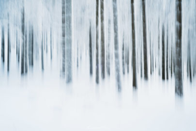 Songe d'Hiver