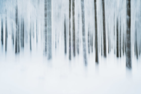 Songe d'Hiver