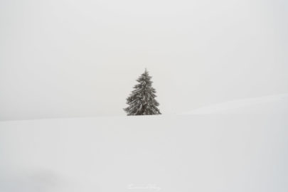 Lévitation