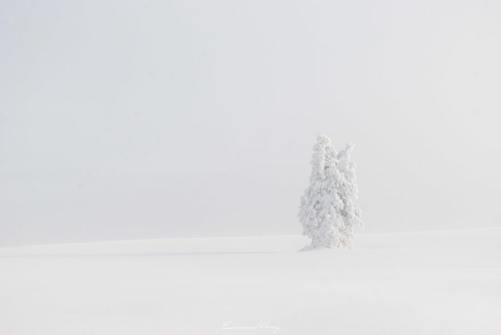 Pétrifié par la neige