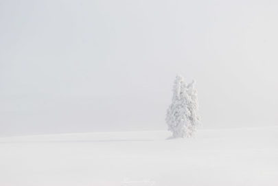 Pétrifié par la neige