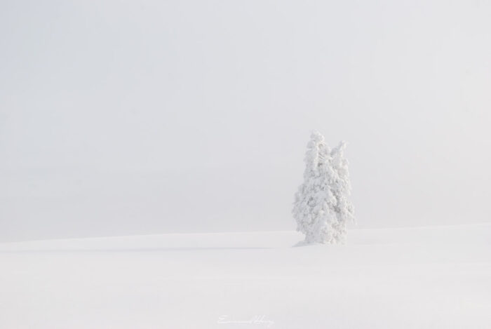 Pétrifié par la neige