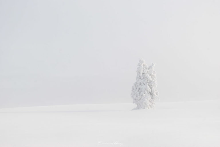 Pétrifié par la neige