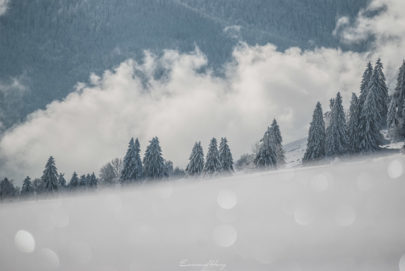 Entre Ciel et Terre