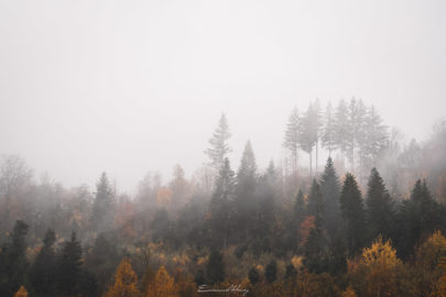 Au fil des couleurs d'automne