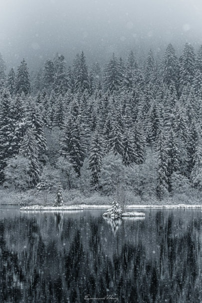 Peint par la neige