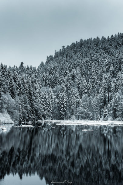 Quand le reflet peint l'eau de Lispach