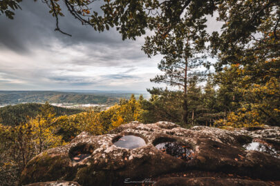 Automne avec vue