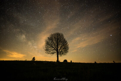La Vie sous les étoiles