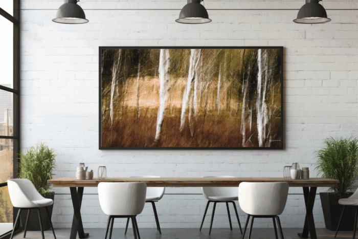 La danse des arbres blancs – Image 2