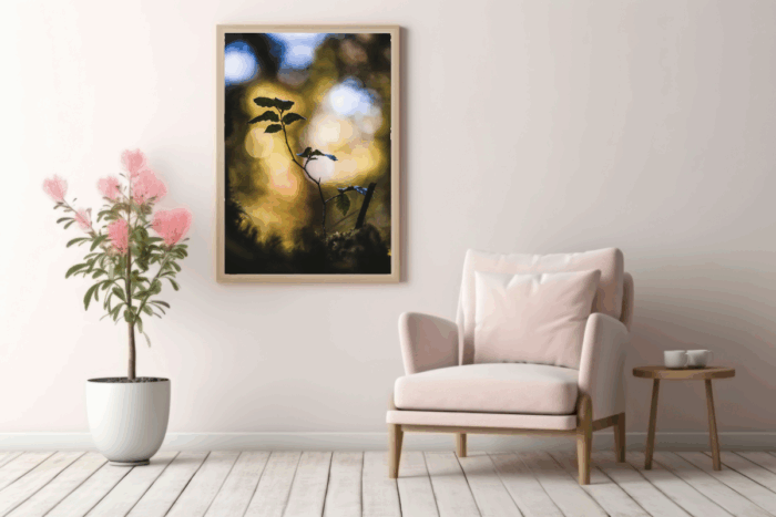 Hêtre de lumière, être la lumière – Image 2