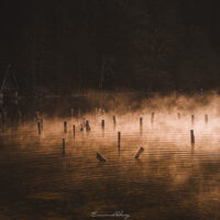 Lac de brumes et de lumière