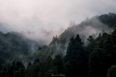 Brumes mystiques