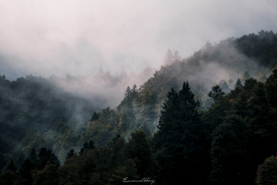 Brumes mystiques