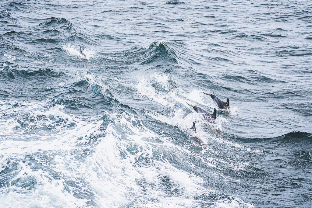 XXV-052- Ur wech e oa, ur wech ne oa ket, ur wech e oa bepred_00