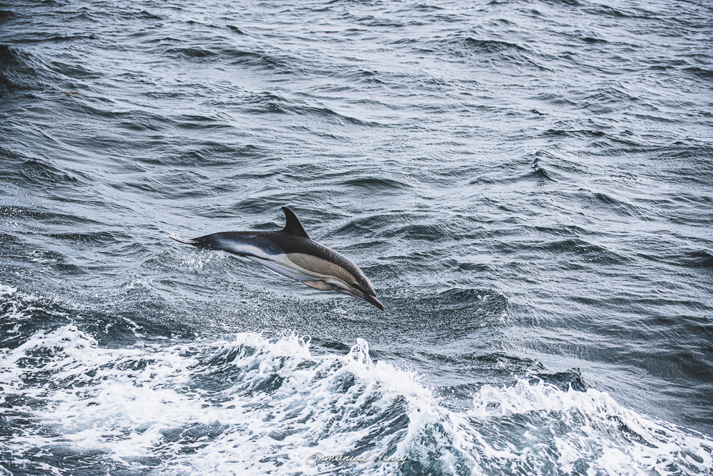 XXV-052- Ur wech e oa, ur wech ne oa ket, ur wech e oa bepred_00