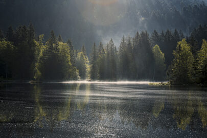 Simplement Vosges