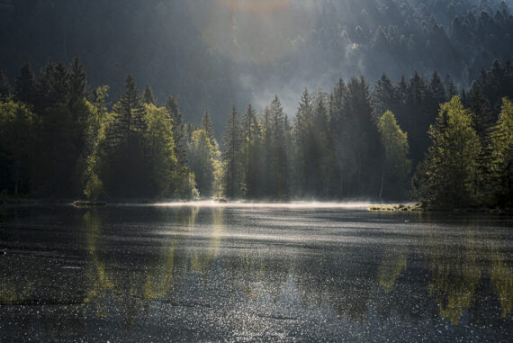 Simplement Vosges
