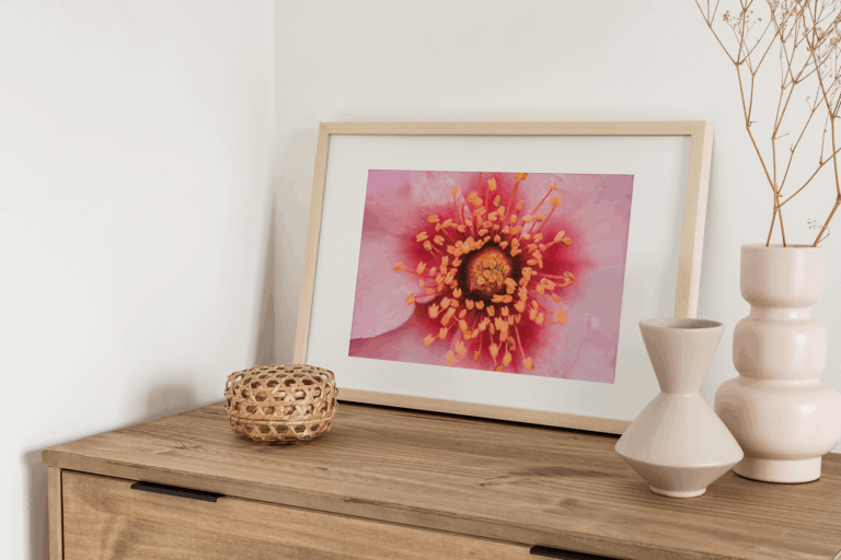 Au coeur de la Vie – Image 2