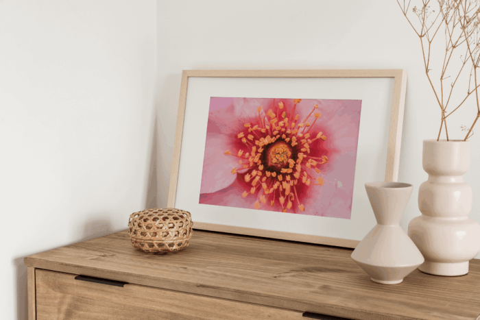 Au coeur de la Vie – Image 2