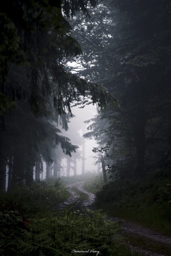 Chemin entre ombres et lumière