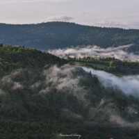 Enveloppées par la brume