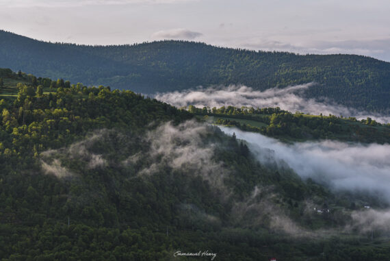 Enveloppées par la brume
