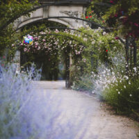 Le passage aux fleurs