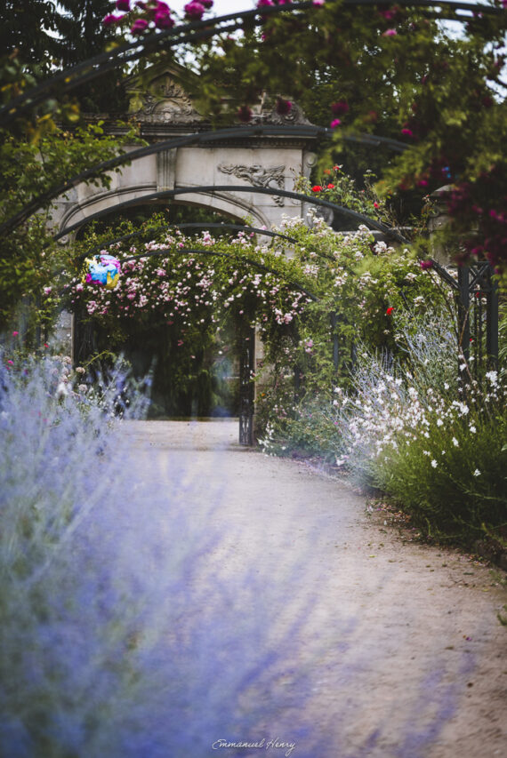 Le passage aux fleurs