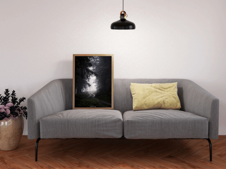 Chemin entre ombres et lumière – Image 2